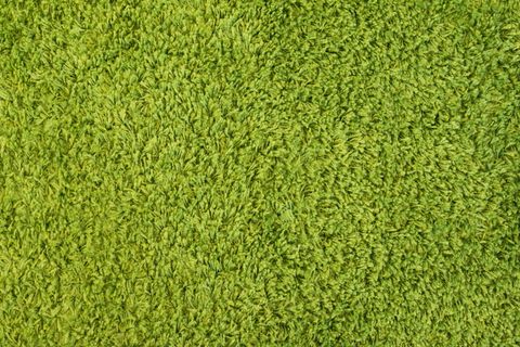 绿色草坪地毯图片