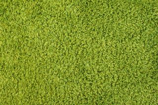 绿色草坪地毯图片