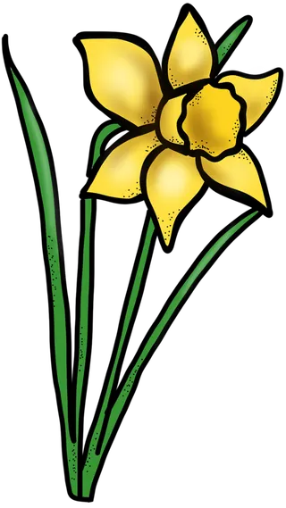 花朵线条图简笔绘画班少儿兴趣班