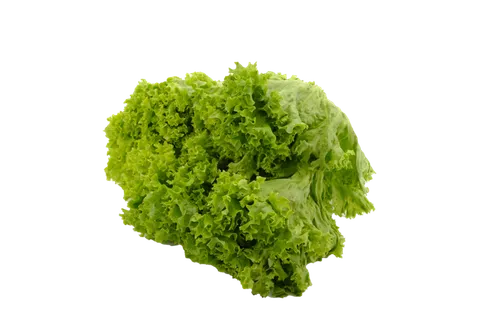 生菜 (32)超市商品白底图免抠实物摄影png格式图片透明底