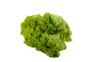 生菜 (32)超市商品白底图免抠实物摄影png格式图片透明底