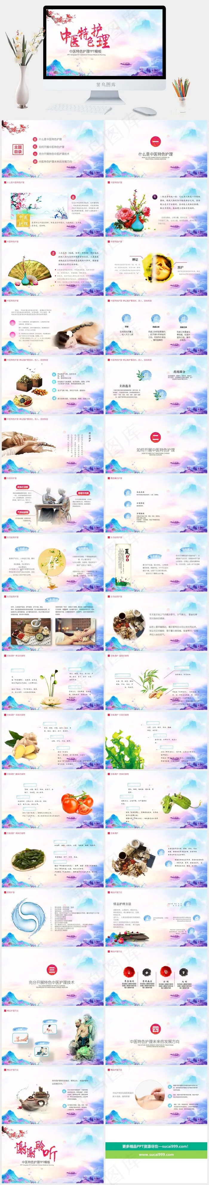 中药中医治病PPT模板ppt模版