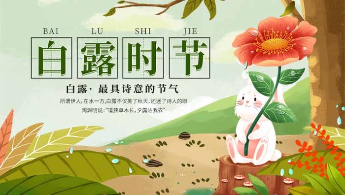 创新白露活动海报图片