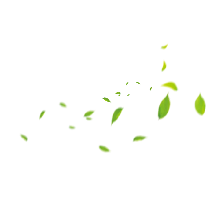 312植树节绿色简约小清新树叶背景