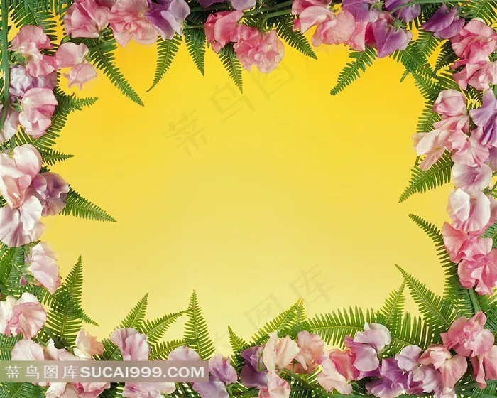 粉红色鲜花和蕨类植物叶子组成的花边边框