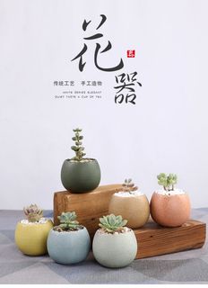 北欧简约绿植盆栽场景(25)