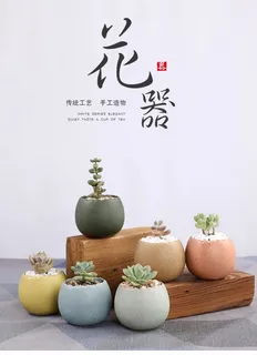北欧简约绿植盆栽场景(25) 北欧简约绿植盆栽场景(25)