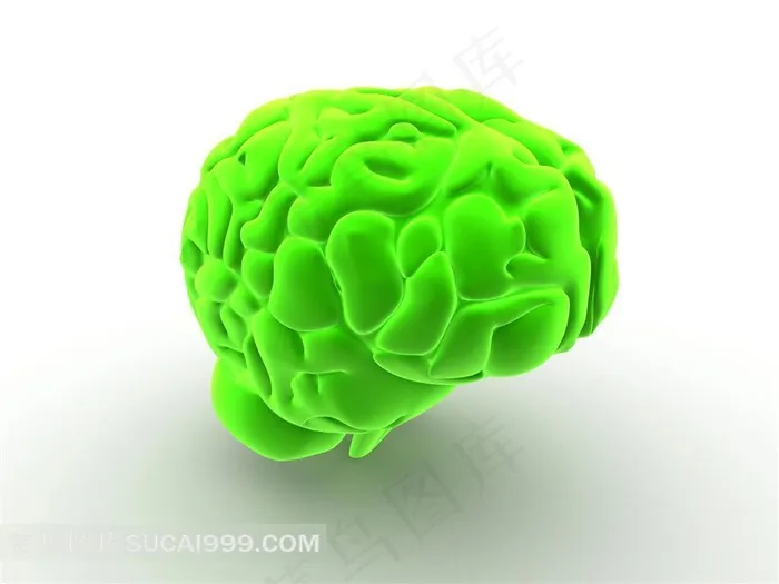 绿色大脑高清素材