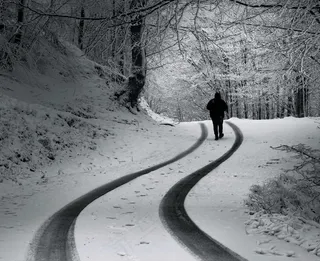 雪中行走背影图片