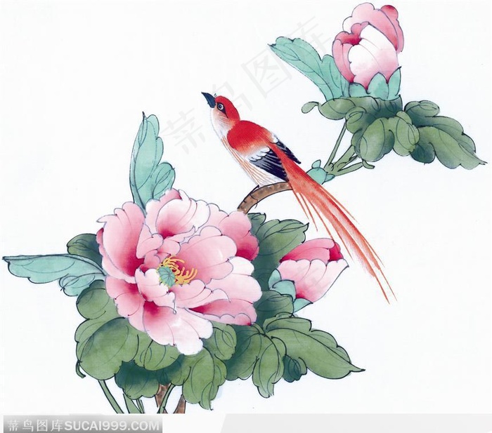 工笔画—鸟