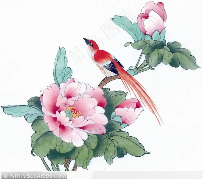 工笔画—鸟