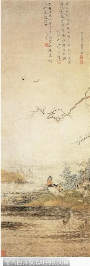 花鸟篇-水中鸟远景图 花鸟篇-水中鸟远景图