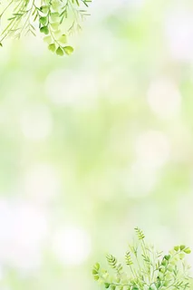 绿色背景 绿色展板背景 绿色背景 绿色展板背景