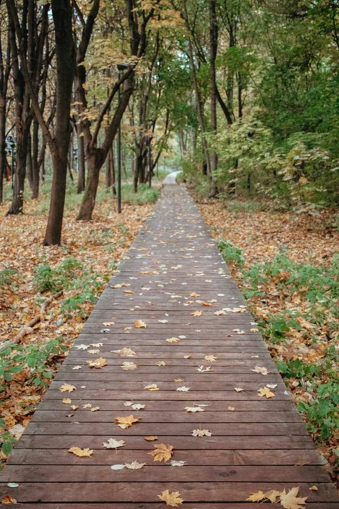 乡间小路 高清图片