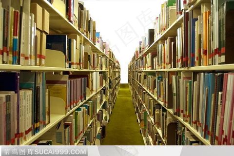 堆满书的图书馆书架