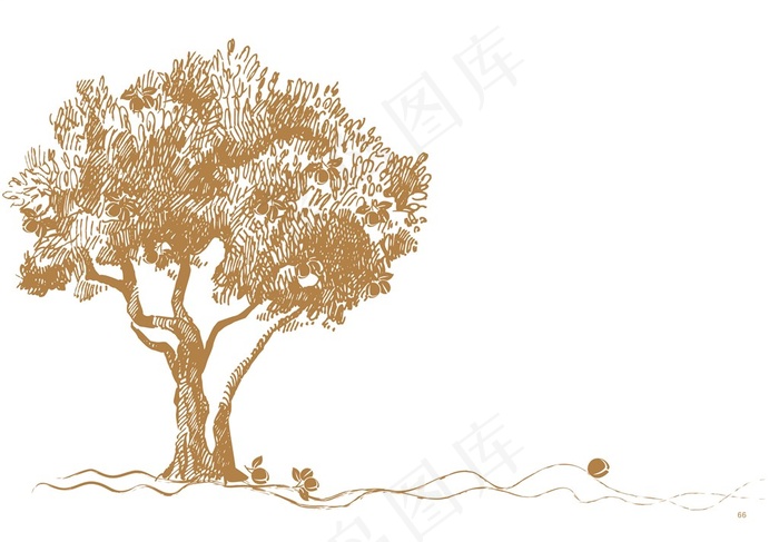 抽象线描油茶树和油茶果