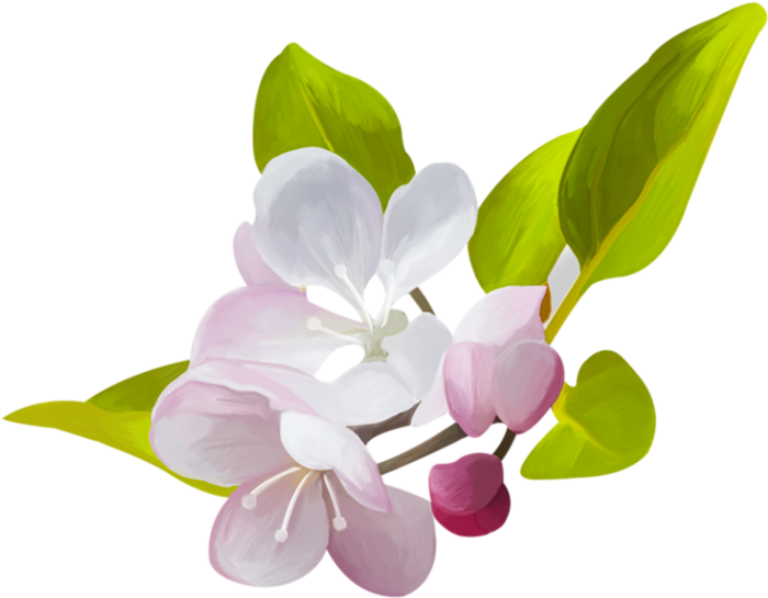 花朵春天素材谷雨