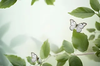 树枝蝴蝶清新背景