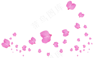 花瓣花朵免扣图片 