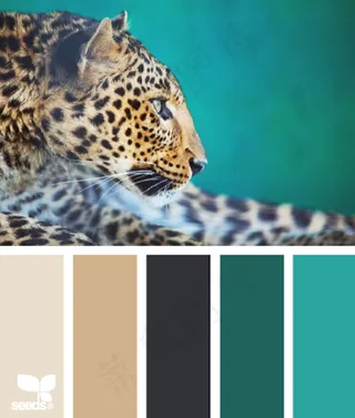 动物配色色卡色彩搭配