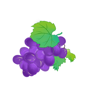 卡通葡萄紫色水果简约风格春天优惠PNG元