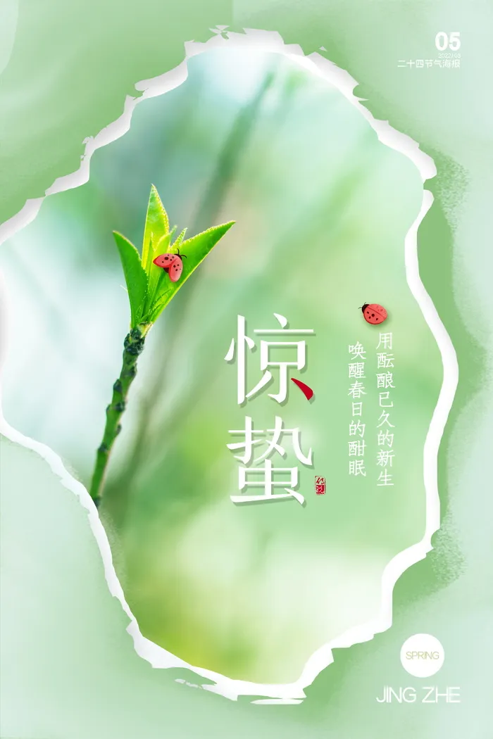 简洁惊蛰节气海报图片psd模版下载