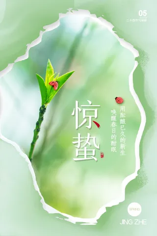 简洁惊蛰节气海报图片