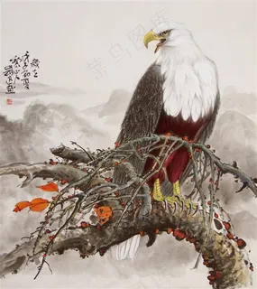 万里江山老鹰工笔画图片素材
