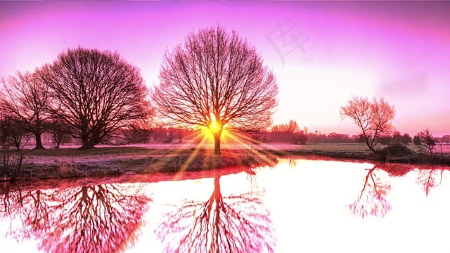 树木, 湖, 日落, 森林, 多雾路段, 草, 春天, 自然