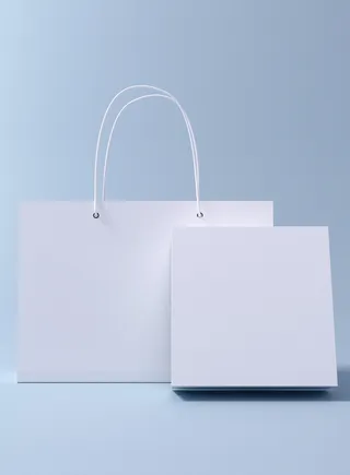 手提袋样机贴图包装logo样机