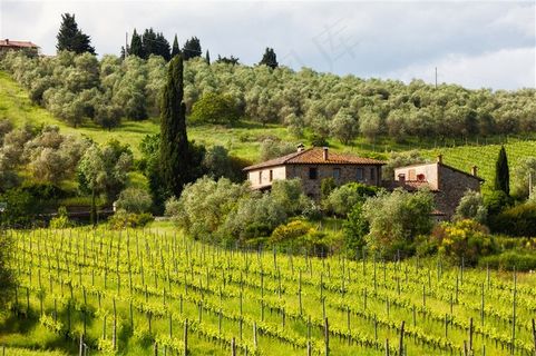 克里米亚田园风光图片