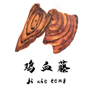 手绘草本中药药材鸡血藤