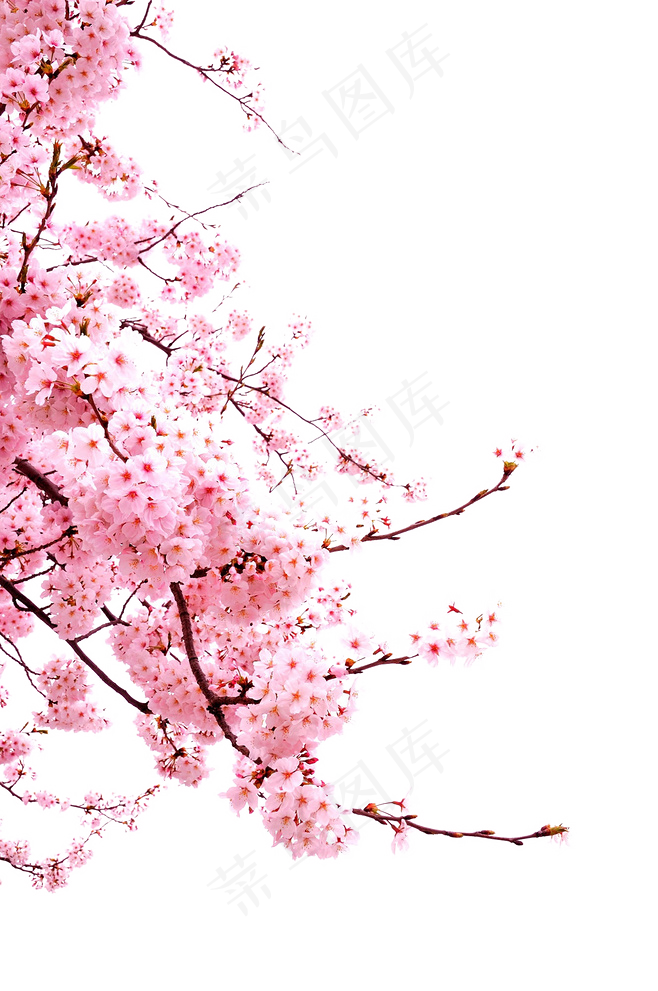 免扣素材中国风