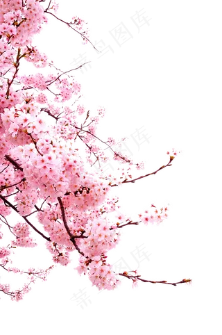 免扣素材中国风