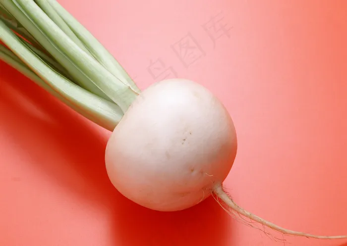 时鲜蔬果 259