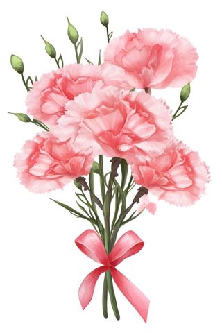 鲜花花束康乃馨元素