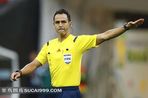 世界杯足球裁判