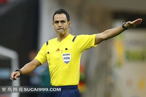 世界杯足球裁判