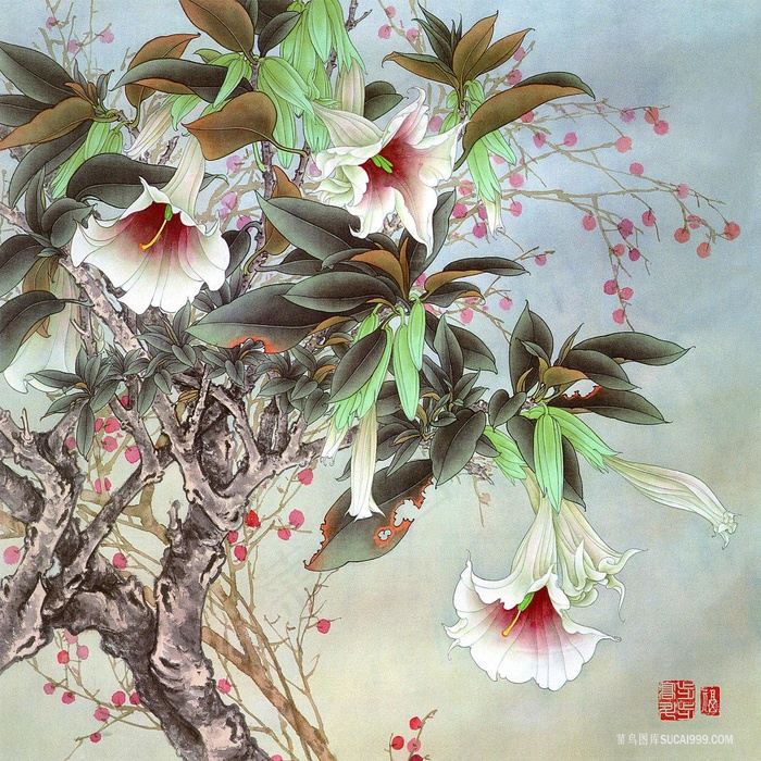 兰花高清中式插画