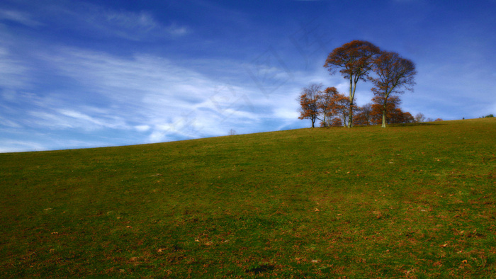 indiantreehill