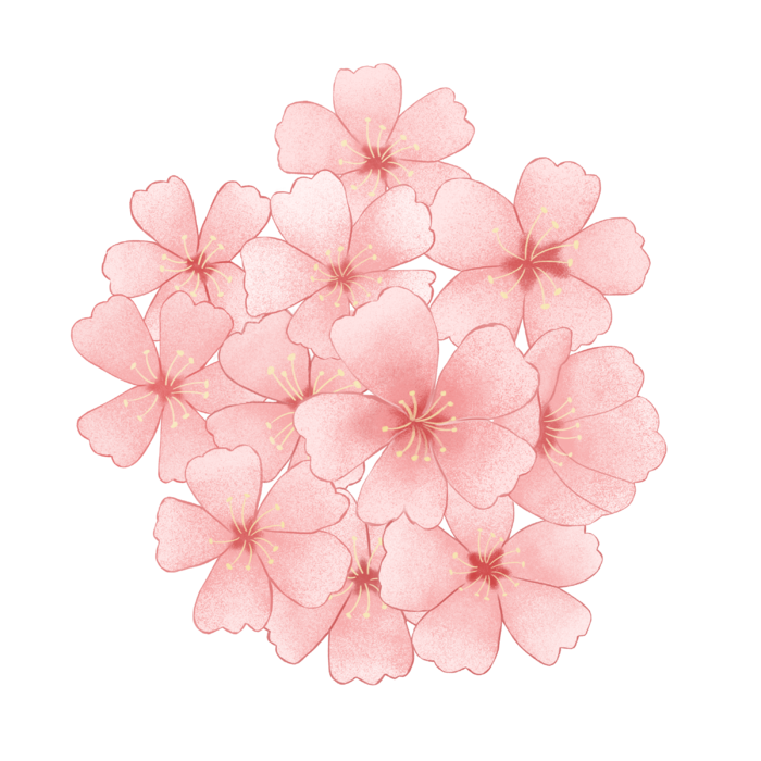 春天浪漫粉红色樱花手绘樱花梅花桃花花朵图片PNG免扣素材