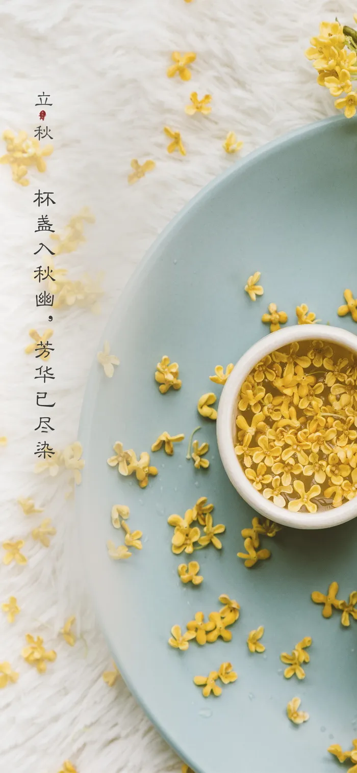 立秋秋分海报psd模版下载