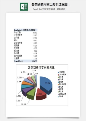 各类别费用支出分析透视图表excel模板