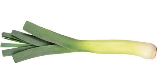 韭菜免抠(556x300)