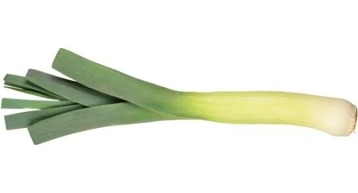 韭菜免抠(556x300)