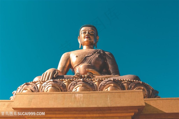 不丹廷布大佛图片