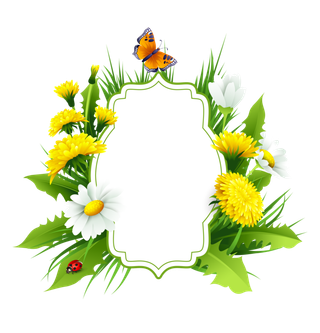 清新菊花边框矢量