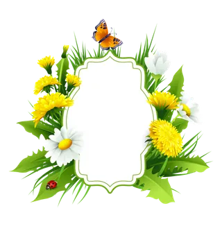 清新菊花边框矢量