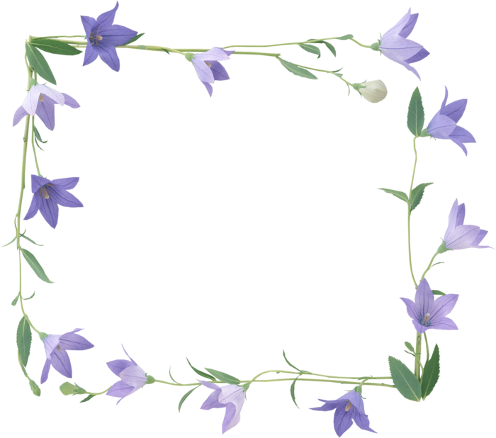 欧式花纹边框金色相框边框古典底纹花边欧美分割线装饰