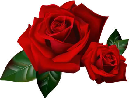 鲜花玫瑰免扣素材